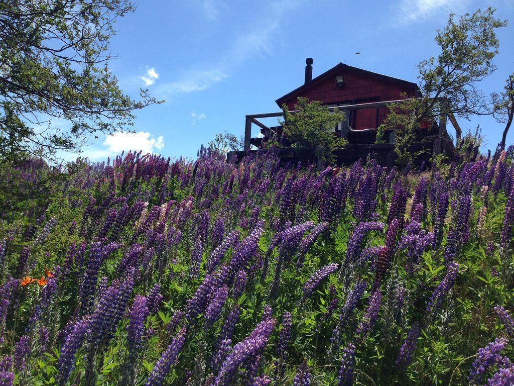 Vila Cabanas Brellenthin Cochrane Exteriér fotografie